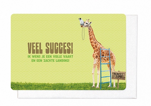 [V1881] VEEL SUCCES