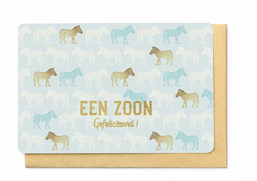 [BB3151] EEN ZOON GEFELICITEERD