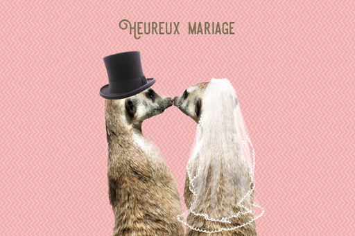 [FNV952] HEUREUX MARIAGE