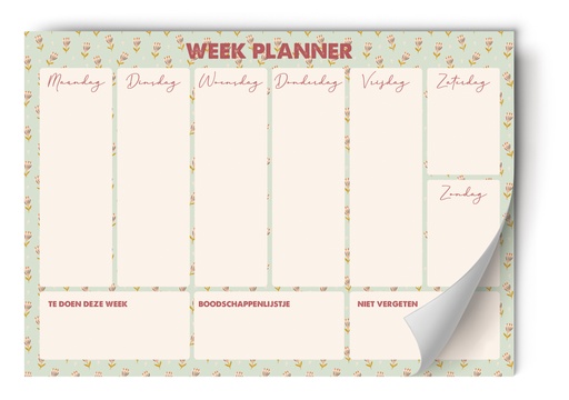 [WPL0246] WEEKPLANNER MINT