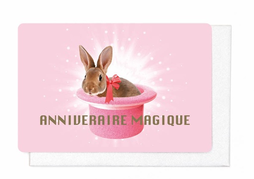 [FNV5033] UN ANNIVERSAIRE MAGIQUE