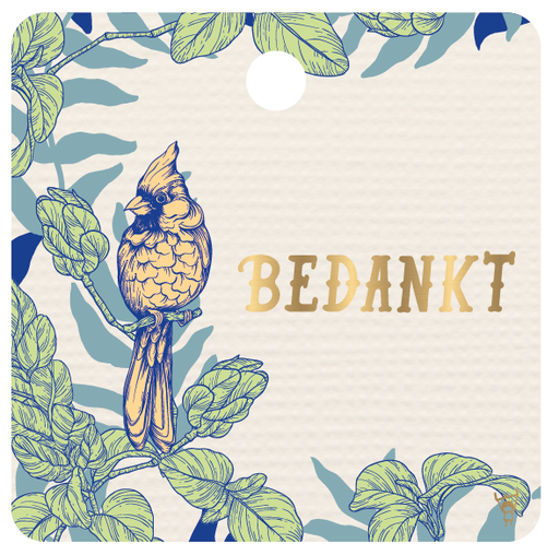 [MFB27] CADEAUKAARTJE - BEDANKT