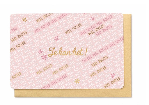 [BB3175] VEEL SUCCES, JE KAN HET!