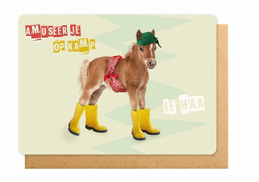 [K2306] AMUSEER JE OP KAMP