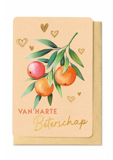 [SC4350] VAN HARTE BETERSCHAP