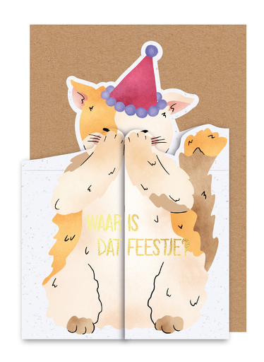 [PAB6413] WAAR IS DAT FEESTJE