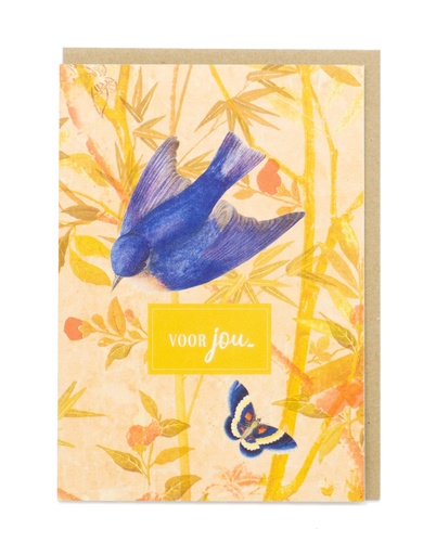 [BN3253] VOOR JOU