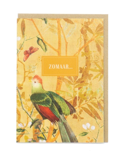 [BN3259] ZOMAAR