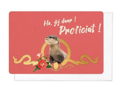 [V1707] HÉ JIJ DAAR! PROFICIAT!