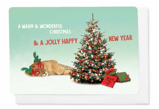 [KP328] A WARM & WONDERFUL CHRISTMAS & A JOLLY HAPPY NEW YEAR