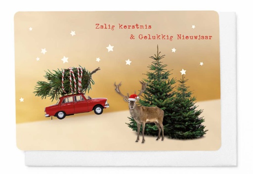 [KP330] ZALIG KERSTMIS & GELUKKIG NIEUWJAAR