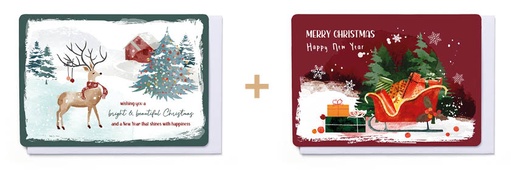 [FFX7249] BOX FROSTY FOREST 04