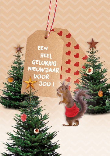 [NB148] EEN HEEL GELUKKIG NIEUWJAAR VOOR JOU!