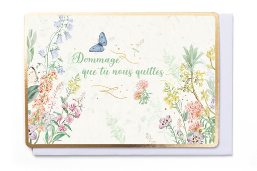 [FBFR5325] DOMMAGE QUE TU NOUS QUITTES