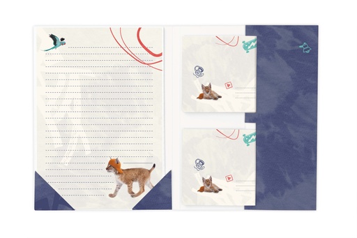[BR045] SET DE CORRESPONDENCE 'REBEL REBEL'
