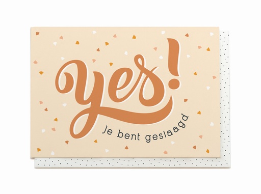 [ESJ3654] YES! JE BENT GESLAAGD