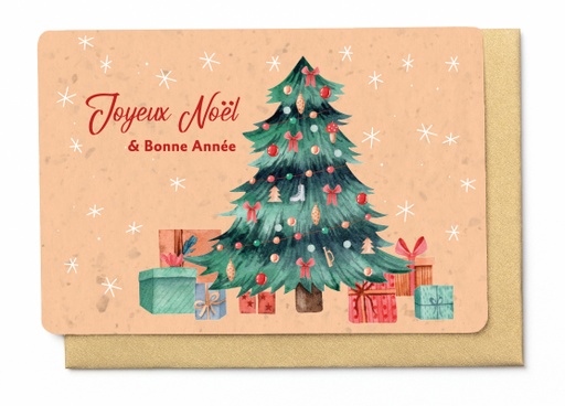 [HDFR7423] JOYEUX NOËL ET BONNE ANNEE