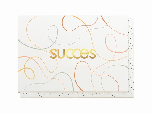 [JTS8245] SUCCES