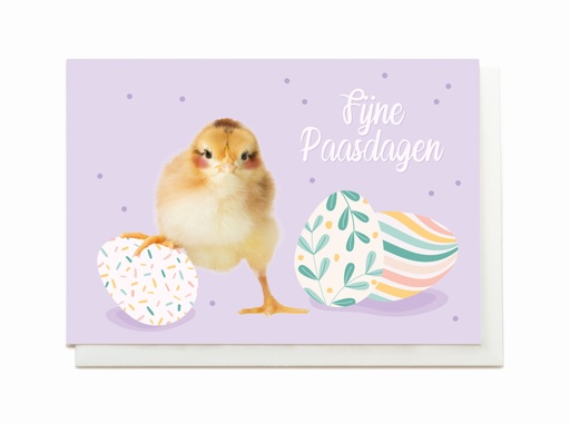 [SP3442] FIJNE PAASDAGEN