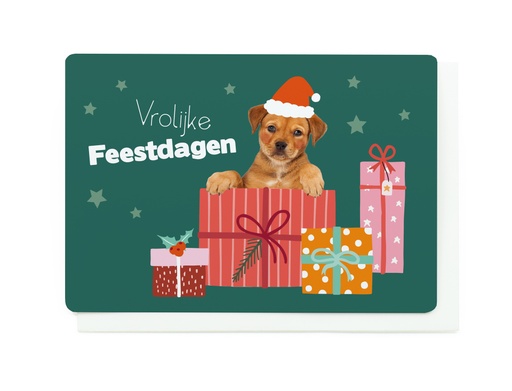[LlXM7489] VROLIJKE FEESTDAGEN