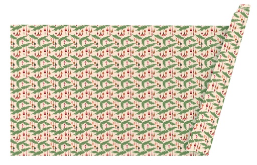 [WPXM7352] WRAPPING CHRISTMAS PAPER DOWN TO EARTH