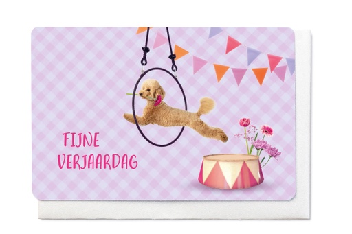 [V1759] FIJNE VERJAARDAG