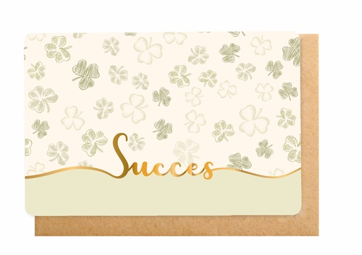 [BB3222] SUCCES