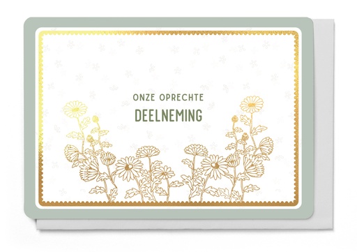 [LM6263] ONZE OPRECHTE DEELNEMING