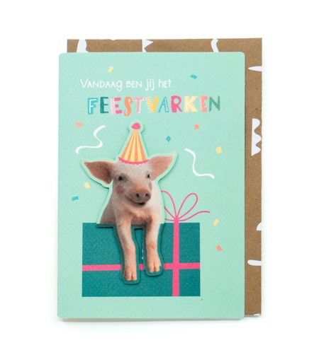 [LL8536] VANDAAG BEN JIJ HET FEESTVARKEN