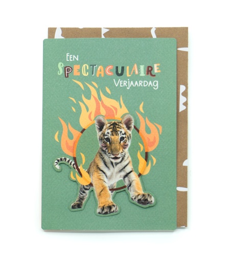 [LL8544] EEN SPECTACULAIRE VERJAARDAG