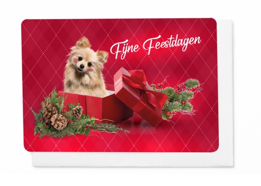 [KP358] FIJNE FEESTDAGEN