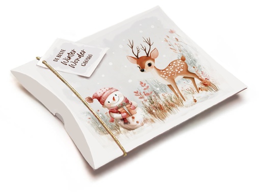 [GDK58] DE BESTE WINTER WONDER WENSEN