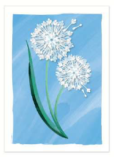 [OMN006] Mini Cards Dandelion