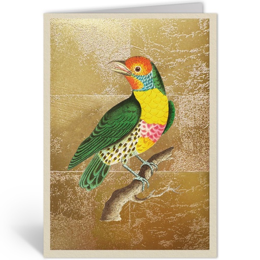 [OHD11989 - NW] LEMON THROATED