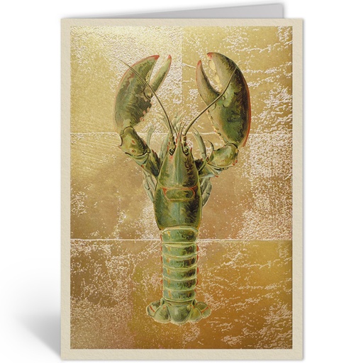 [OHD11999 - NW] HOMARUS AMERICANUS