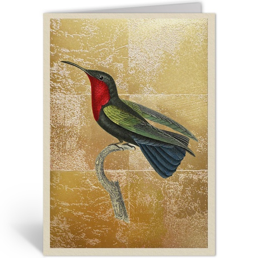 [OHD11994 - NW] HUMMINGBIRD