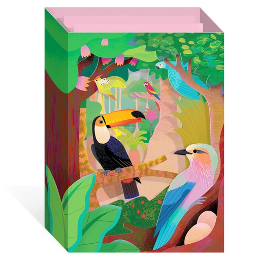 [OHD12099 - 3D] BIRDS THE AMAZON - 3D