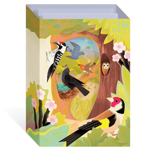 [OHD12107 - 3D] BRITISH BIRDS - 3D