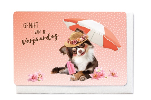 [V1778] GENIET VAN JE VERJAARDAG