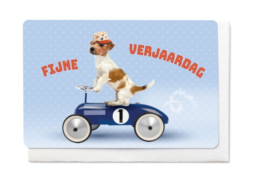 [V1782] FIJNE VERJAARDAG