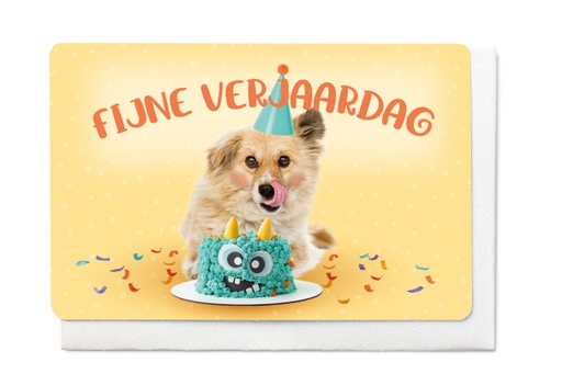 [V1784] FIJNE VERJAARDAG 