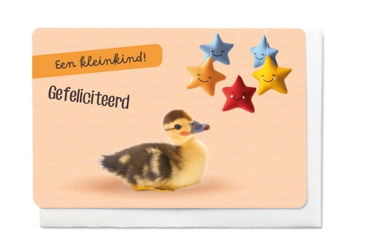 [V1788] EEN KLEINKIND! GEFELICITEERD