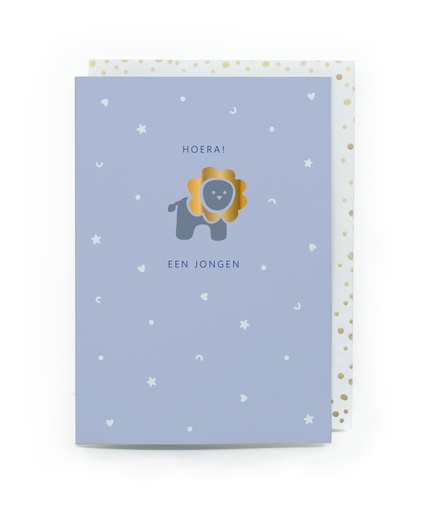 [LR86(04)1-57] HOERA! EEN JONGEN