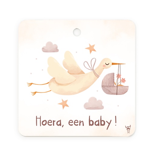 [MDD02] CADEAUKAARTJE - HOERA, EEN BABY!