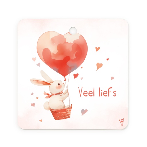 [MDD06] CADEAUKAARTJE - VEEL LIEFS