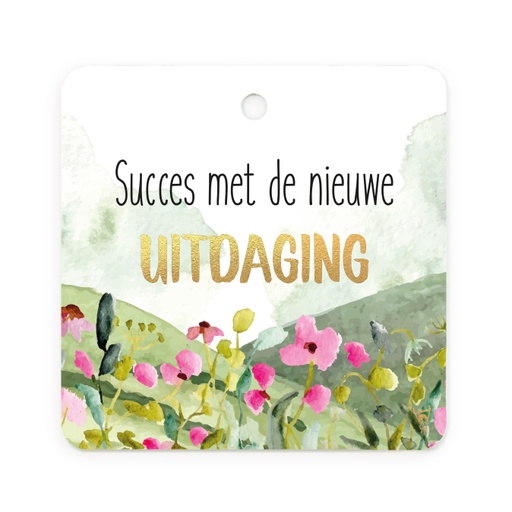 [MFB47] CADEAUKAARTJE - SUCCES MET DE NIEUWE UITDAGING