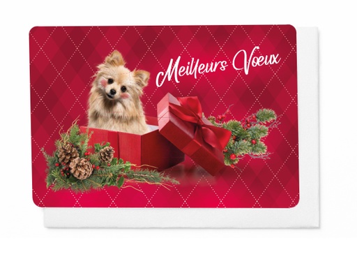 [KPFR307] MEILLEURS VOEUX