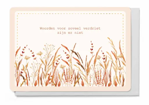 [LM6273] WOORDEN VOOR ZOVEEL VERDRIET ZIJN ER NIET