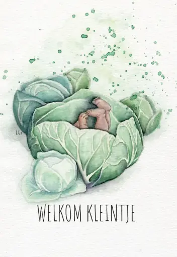 [LILE8768] WELKOM KLEINTJE