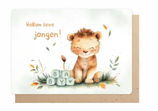 [DD9247] WELKOM LIEVE JONGEN!
